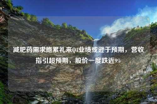 减肥药需求拖累礼来Q4业绩或逊于预期，营收指引超预期，股价一度跌近9%