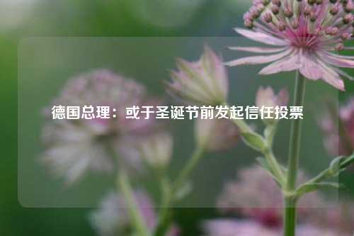 德国总理：或于圣诞节前发起信任投票