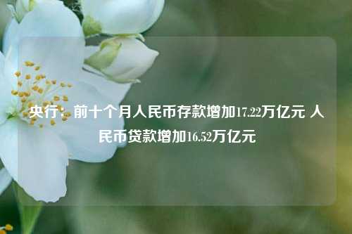 央行：前十个月人民币存款增加17.22万亿元 人民币贷款增加16.52万亿元