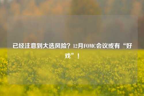 已经注意到大选风险？12月FOMC会议或有“好戏”！