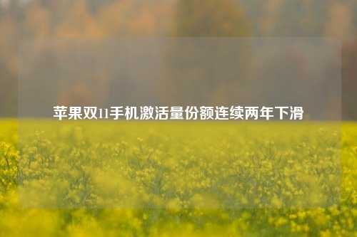 苹果双11手机激活量份额连续两年下滑