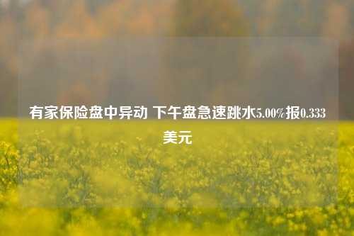 有家保险盘中异动 下午盘急速跳水5.00%报0.333美元