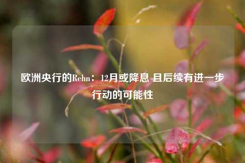 欧洲央行的Rehn：12月或降息 且后续有进一步行动的可能性