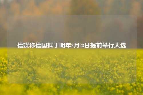 德媒称德国拟于明年2月23日提前举行大选