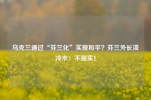 乌克兰通过“芬兰化”实现和平？芬兰外长泼冷水：不现实！