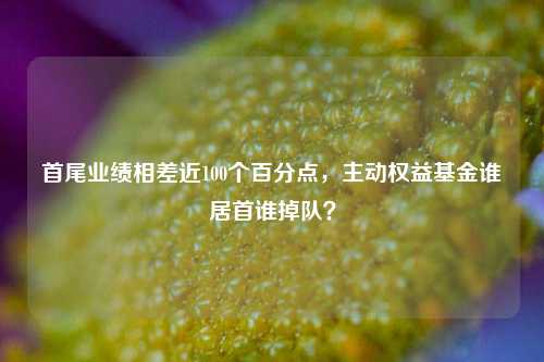 首尾业绩相差近100个百分点，主动权益基金谁居首谁掉队？