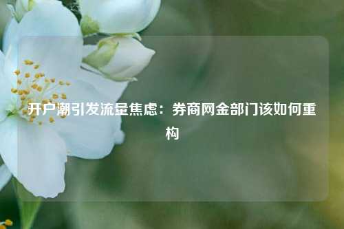 开户潮引发流量焦虑：券商网金部门该如何重构