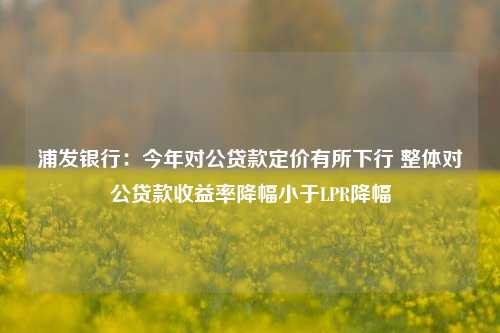 浦发银行：今年对公贷款定价有所下行 整体对公贷款收益率降幅小于LPR降幅