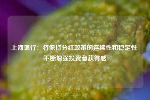 上海银行：将保持分红政策的连续性和稳定性 不断增强投资者获得感