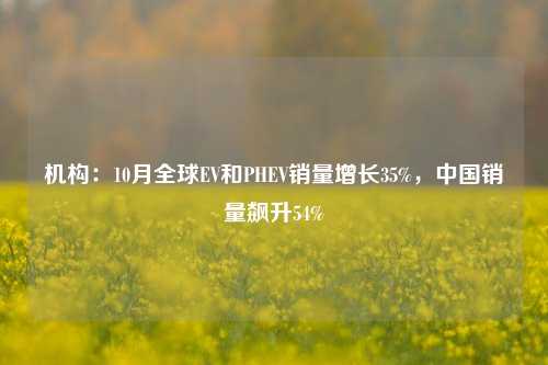 机构：10月全球EV和PHEV销量增长35%，中国销量飙升54%