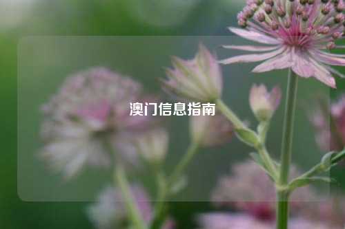 澳门信息指南