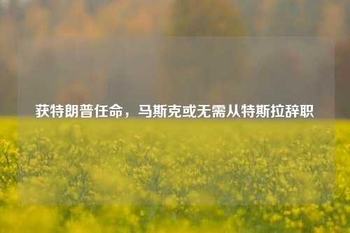 获特朗普任命，马斯克或无需从特斯拉辞职