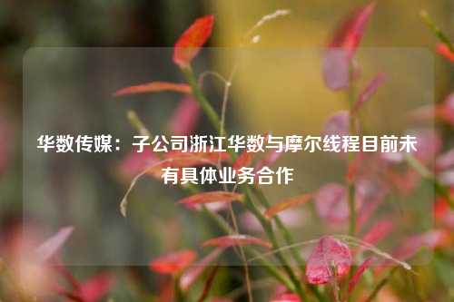 华数传媒：子公司浙江华数与摩尔线程目前未有具体业务合作