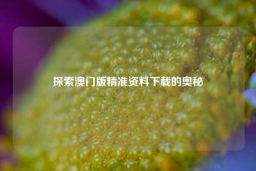 探索澳门版精准资料下载的奥秘