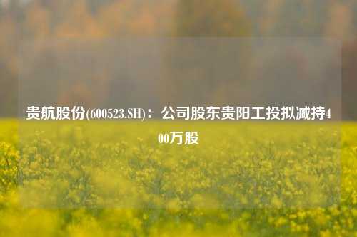 贵航股份(600523.SH)：公司股东贵阳工投拟减持400万股