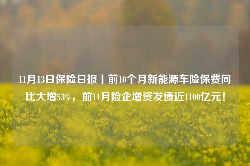 11月13日保险日报丨前10个月新能源车险保费同比大增53%，前11月险企增资发债近1100亿元！