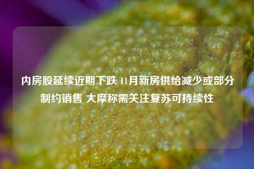 内房股延续近期下跌 11月新房供给减少或部分制约销售 大摩称需关注复苏可持续性