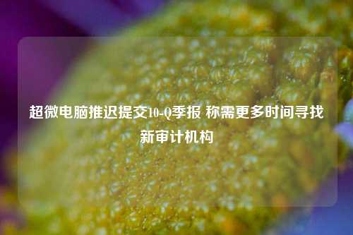 超微电脑推迟提交10-Q季报 称需更多时间寻找新审计机构