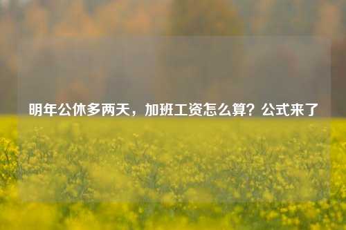 明年公休多两天，加班工资怎么算？公式来了