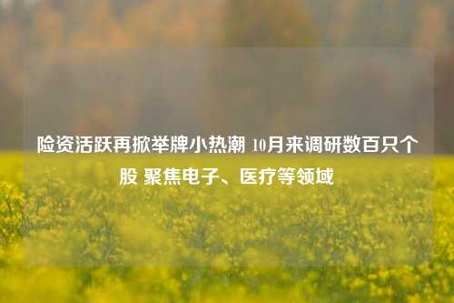 险资活跃再掀举牌小热潮 10月来调研数百只个股 聚焦电子、医疗等领域