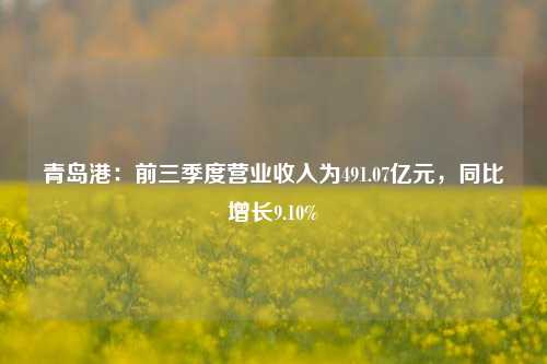 青岛港：前三季度营业收入为491.07亿元，同比增长9.10%