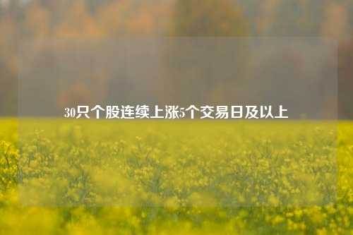 30只个股连续上涨5个交易日及以上