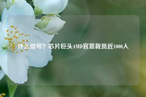 什么信号？芯片巨头AMD官宣裁员近1000人