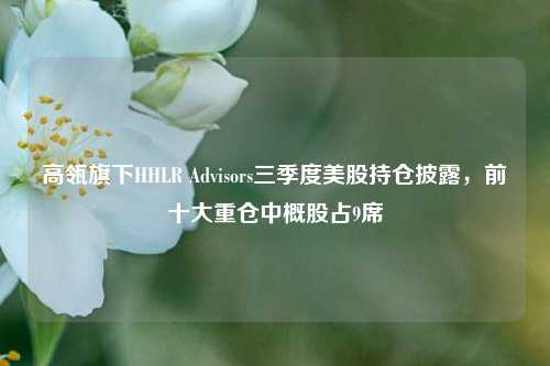 高瓴旗下HHLR Advisors三季度美股持仓披露，前十大重仓中概股占9席