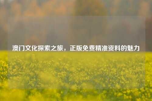 澳门文化探索之旅，正版免费精准资料的魅力