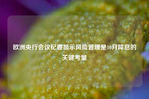 欧洲央行会议纪要显示风险管理是10月降息的关键考量