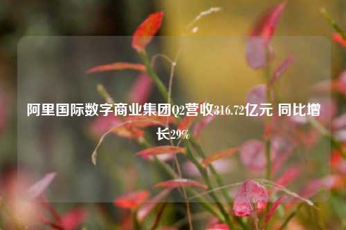 阿里国际数字商业集团Q2营收316.72亿元 同比增长29%