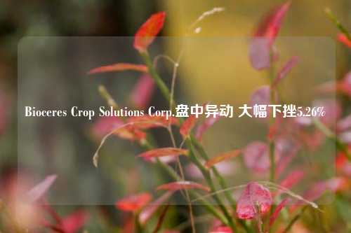 Bioceres Crop Solutions Corp.盘中异动 大幅下挫5.26%