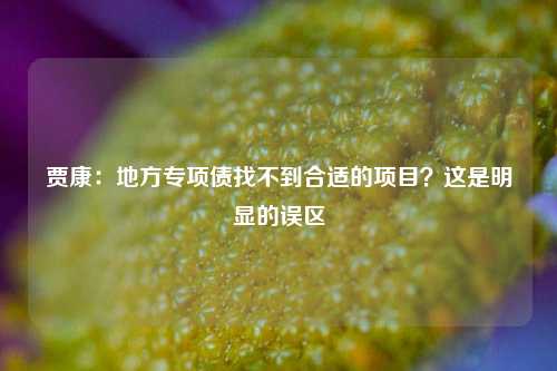 贾康：地方专项债找不到合适的项目？这是明显的误区