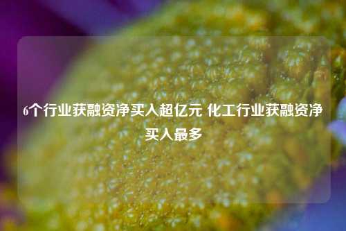 6个行业获融资净买入超亿元 化工行业获融资净买入最多