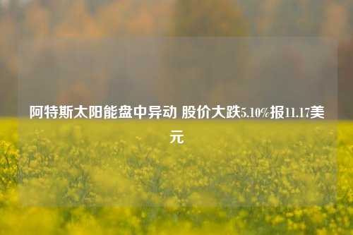 阿特斯太阳能盘中异动 股价大跌5.10%报11.17美元