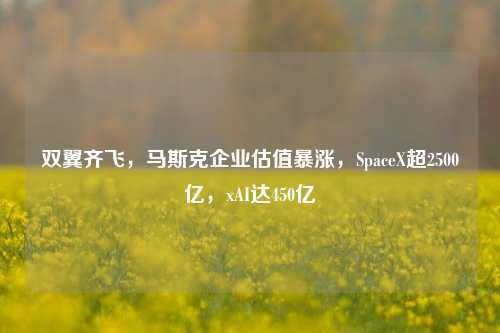 双翼齐飞，马斯克企业估值暴涨，SpaceX超2500亿，xAI达450亿