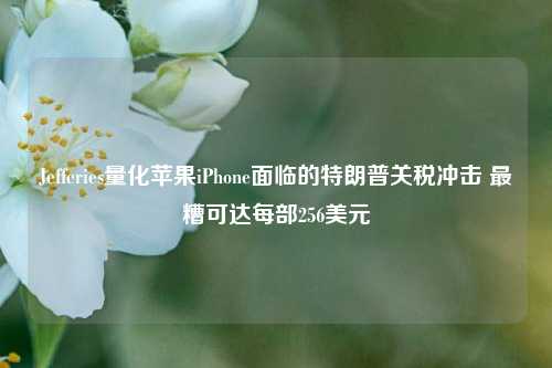 Jefferies量化苹果iPhone面临的特朗普关税冲击 最糟可达每部256美元