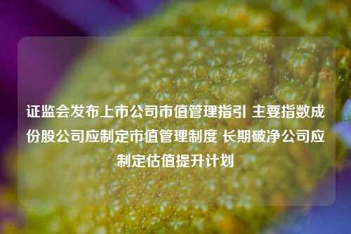 证监会发布上市公司市值管理指引 主要指数成份股公司应制定市值管理制度 长期破净公司应制定估值提升计划