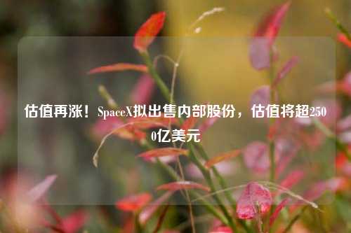 估值再涨！SpaceX拟出售内部股份，估值将超2500亿美元