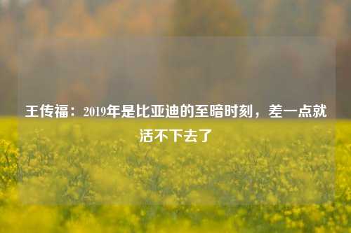 王传福：2019年是比亚迪的至暗时刻，差一点就活不下去了