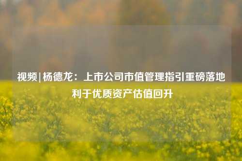 视频|杨德龙：上市公司市值管理指引重磅落地 利于优质资产估值回升