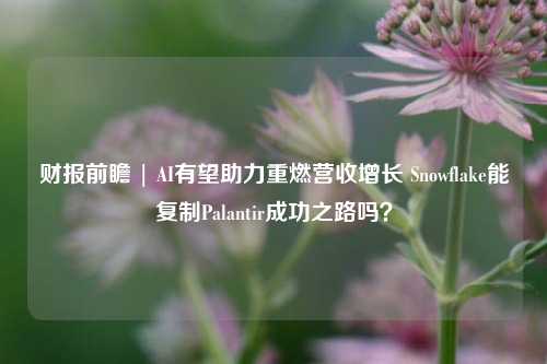 财报前瞻 | AI有望助力重燃营收增长 Snowflake能复制Palantir成功之路吗？