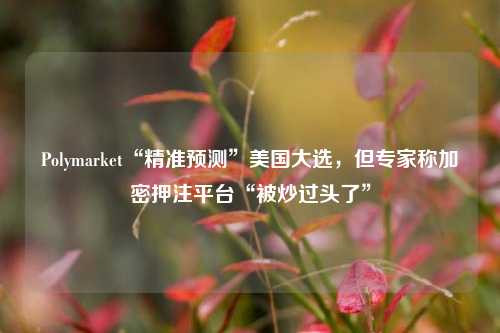 Polymarket“精准预测”美国大选，但专家称加密押注平台“被炒过头了”