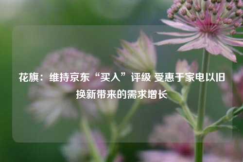 花旗：维持京东“买入”评级 受惠于家电以旧换新带来的需求增长