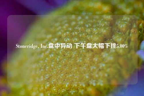 Stoneridge, Inc.盘中异动 下午盘大幅下挫5.00%