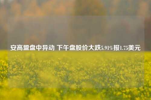 安高盟盘中异动 下午盘股价大跌5.91%报1.75美元