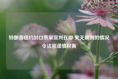 特朗普纽约封口费案宣判在即 史无前例的情况令法官谨慎权衡