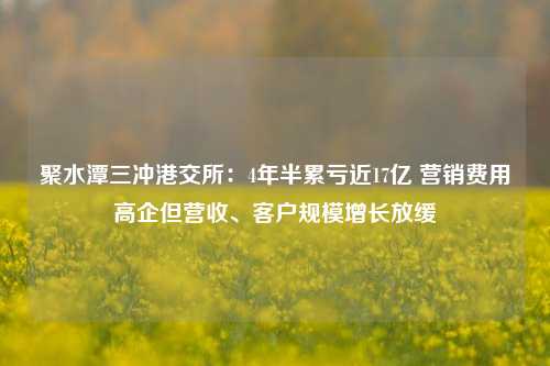 聚水潭三冲港交所：4年半累亏近17亿 营销费用高企但营收、客户规模增长放缓