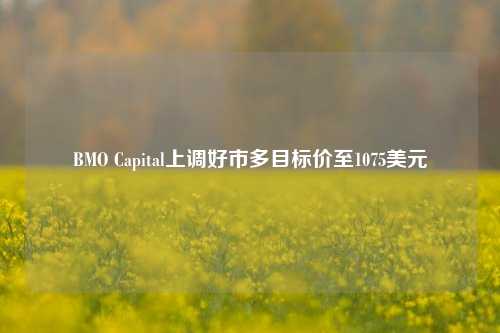 BMO Capital上调好市多目标价至1075美元