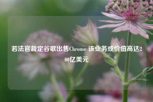 若法官裁定谷歌出售Chrome 该业务或价值高达200亿美元